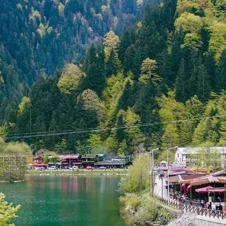 Dear * Uzungöl